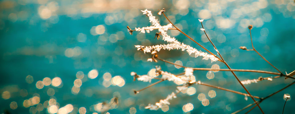 Divorce Recovery Therapy Woodlands TX